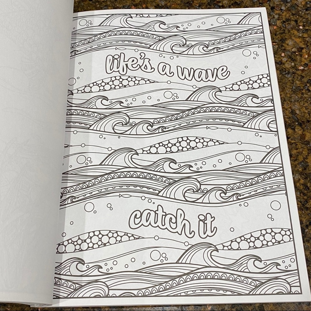 Splash Of Color Adult Coloring Book - Picture 11 of 11